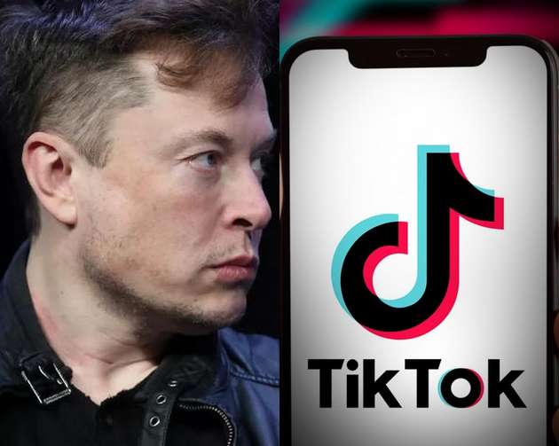 elon musk and tiktok