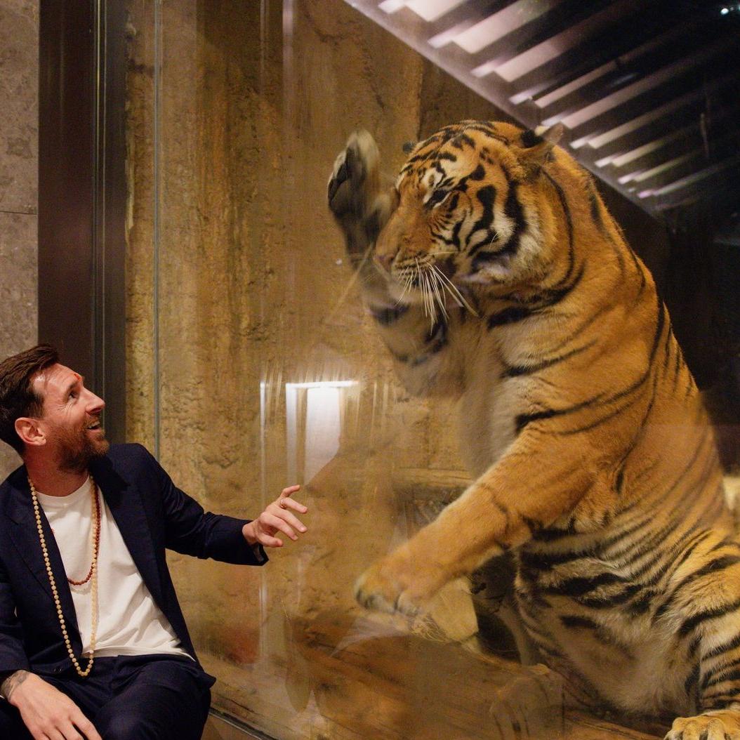 Lionel Messi - લિયોનેલ મેસ્સી વનતારાની ખાસ સફર પર, પવિત્ર ભારતીય પરંપરાઓ અને વન્યજીવન સાથેના અવિસ્મરણીય અનુભવ