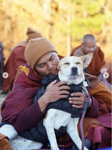 aloka the peace dog