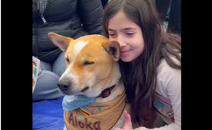 aloka the peace dog
