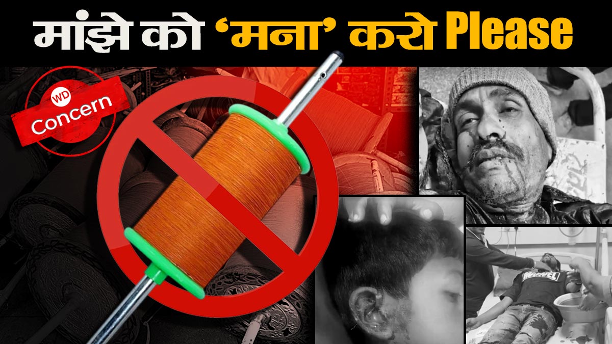 मौत की डोर चाइनीज मांझे पर लगाम में गुजरात पुलिस की वाहवाही, उज्‍जैन में भी अनोखा उपाय, इंदौर प्रशासन यहां भी फिसड्डी