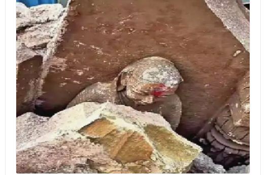 काशी में मणिकर्णिका घाट और देवी अहिल्या की प्रतिमा ध्‍वस्‍त की, इंदौर में आक्रोश, कल बनाएंगे विरोध करने की रणनीति