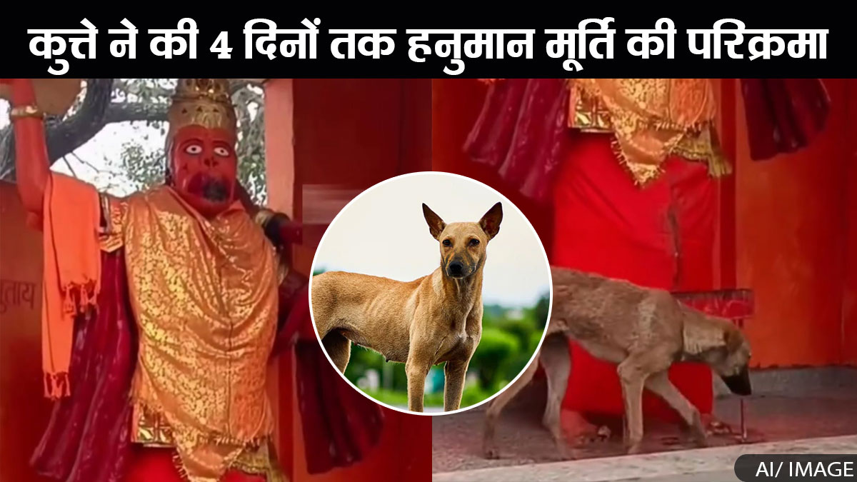 बिजनौर में 4 दिन से हनुमान मूर्ति की परिक्रमा कर रहा कुत्ता, क्या है कारण, Video