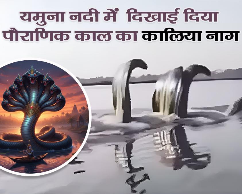 yamuna me kaliya naag news