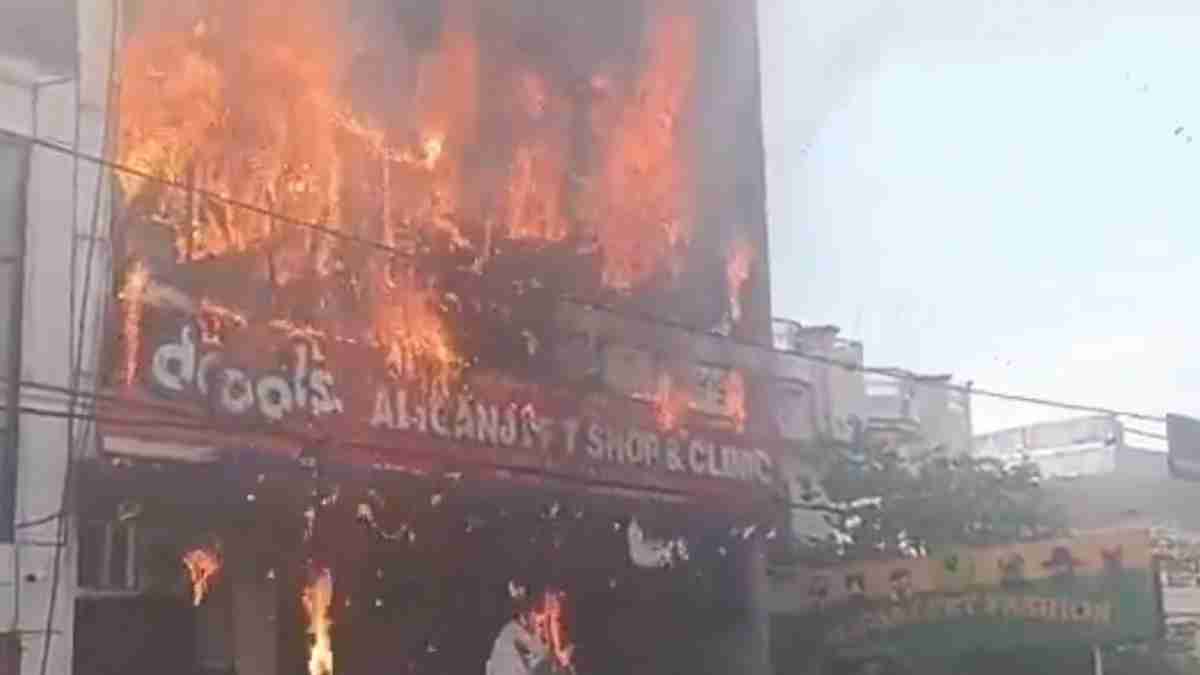 lucknow fire : Dogs Cats Burned Alive