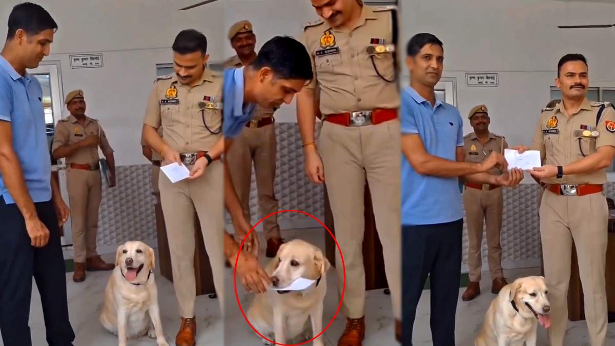 यूपी में पुलिस डॉग मैरी ने सुलझाया ब्लाइंड रेप ...