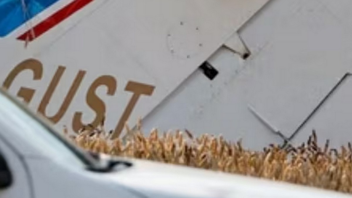 Big plane crash in France