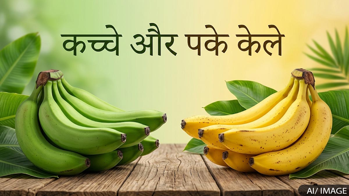 An image providing information about raw and ripe bananas from a health perspective