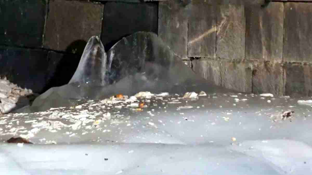 बाबा बर्फानी अंतर्ध्यान: अमरनाथ यात्रा शुरू होने ...