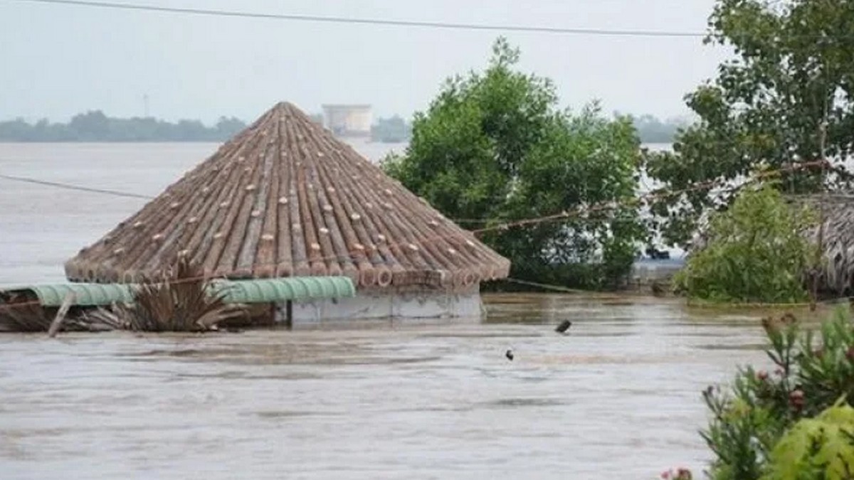 video of snakes in China following floods is going viral rapidly