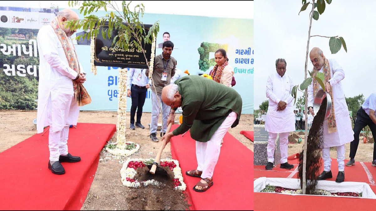AMC tree plantation drive AMC tree plantation drive
