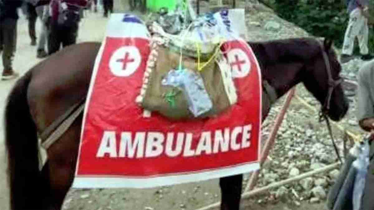 Amarnath Yatra 2026: पोनी एम्बुलेंस सेवा से ...