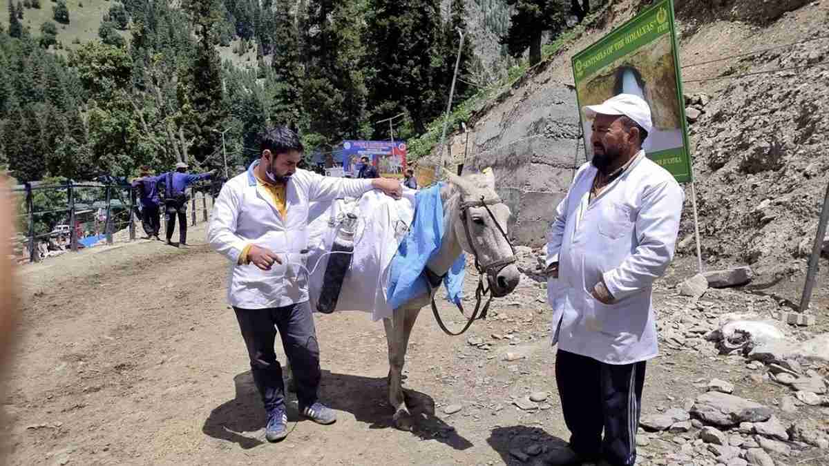 pony ambulance in amarnath yatra Photo : Suresh S Duggar pony ambulance in amarnath yatra