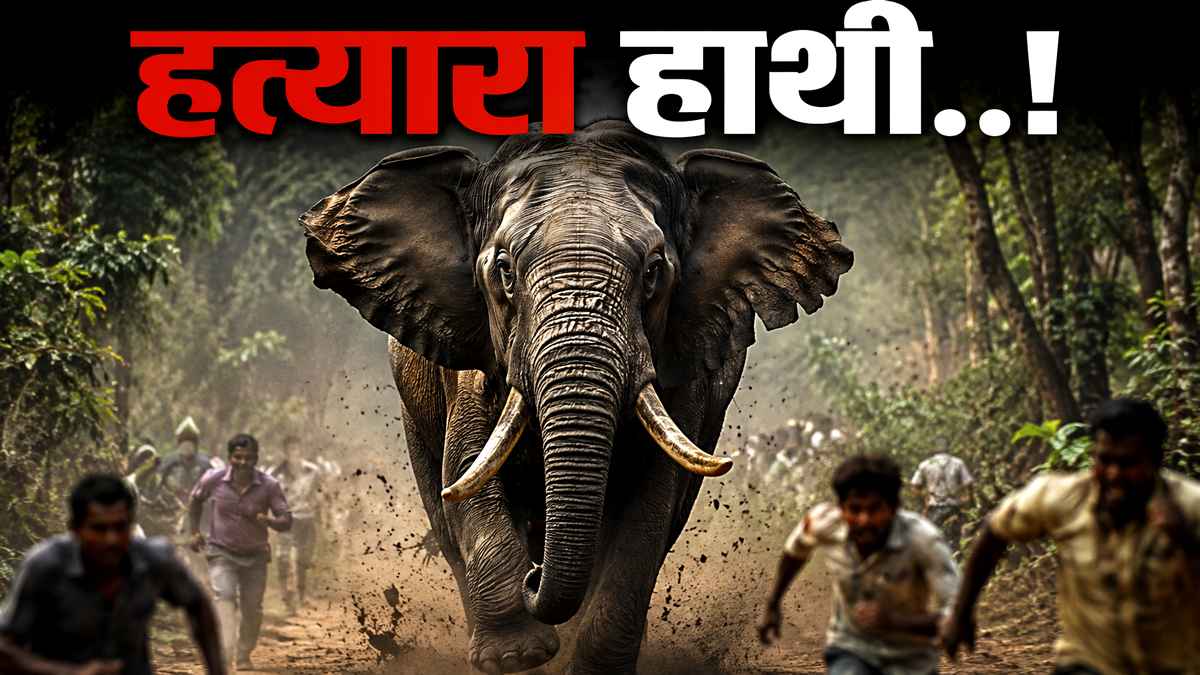 Nepal Elephent Attack