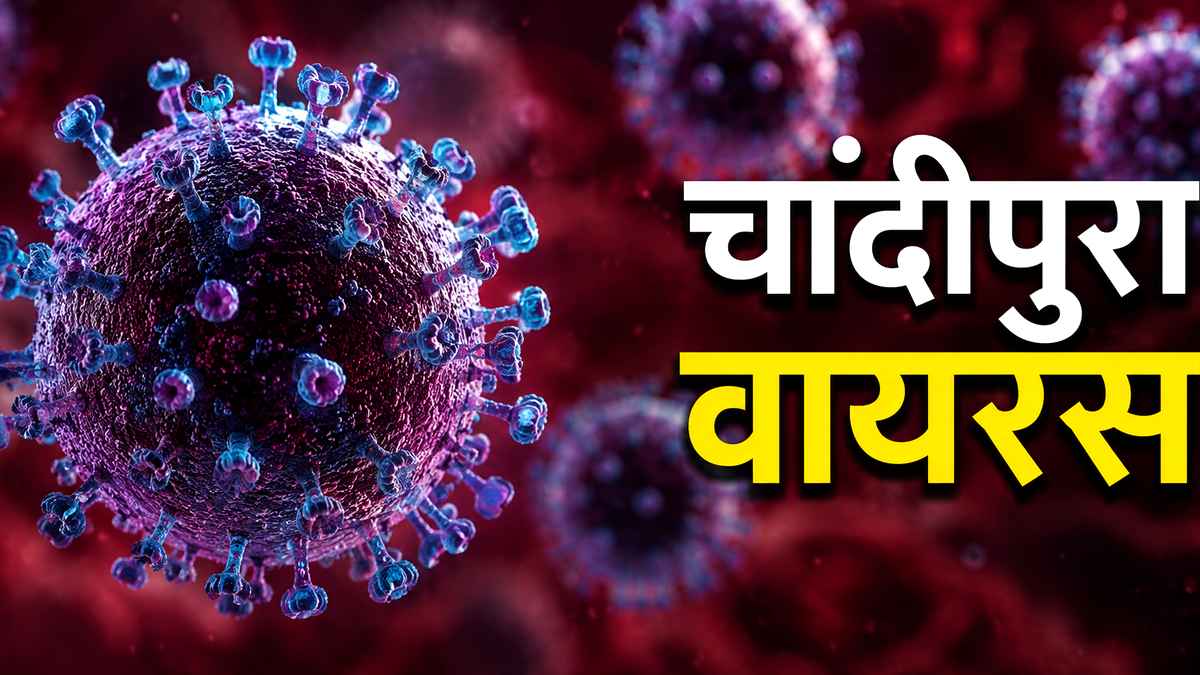 chandipura virus