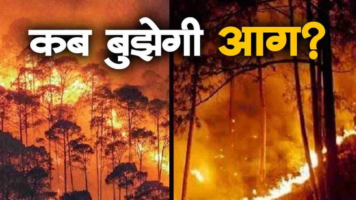 जंगल की आग के सामने लाचार होते फ्रांस और स्पेन