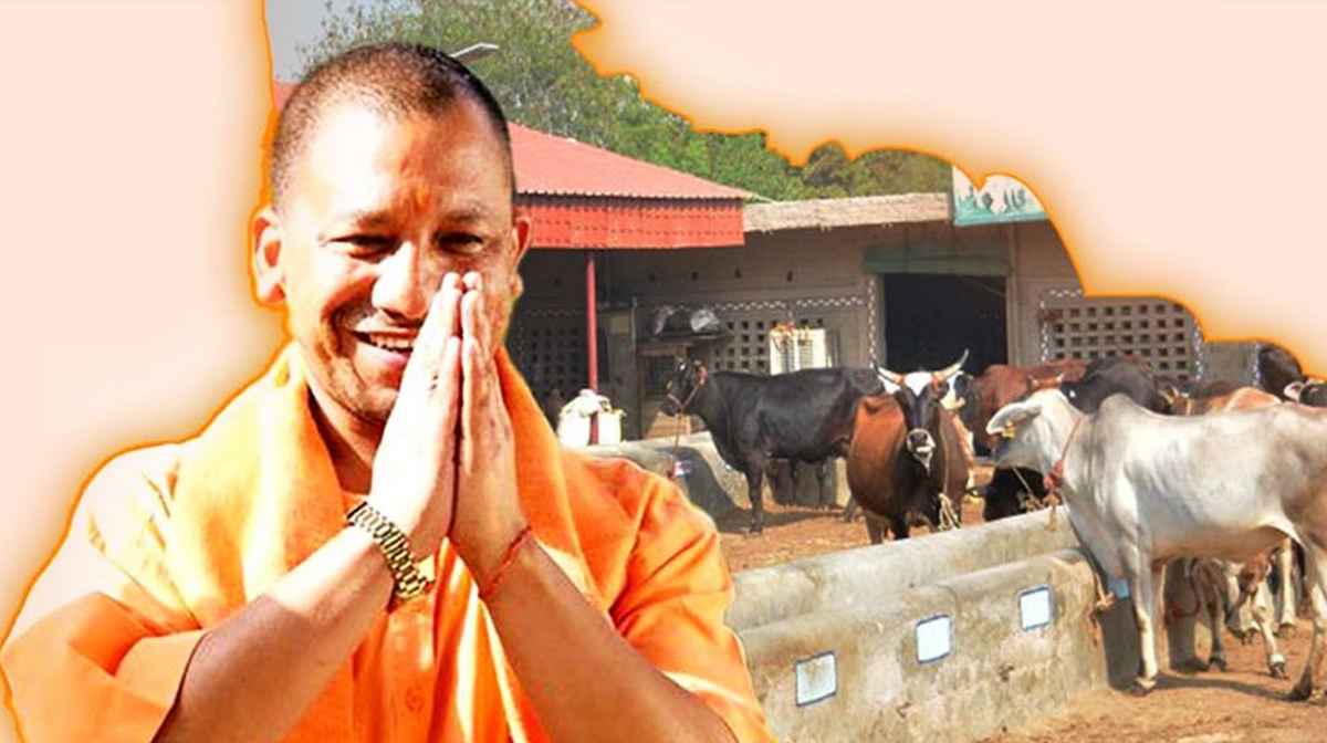 Nandini Krishi Samriddhi Yojana