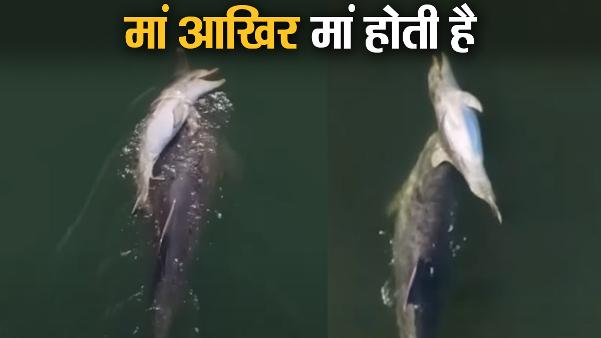 6 दिन तक मृत बच्चे को पीठ पर लेकर तैरती रही मां ...