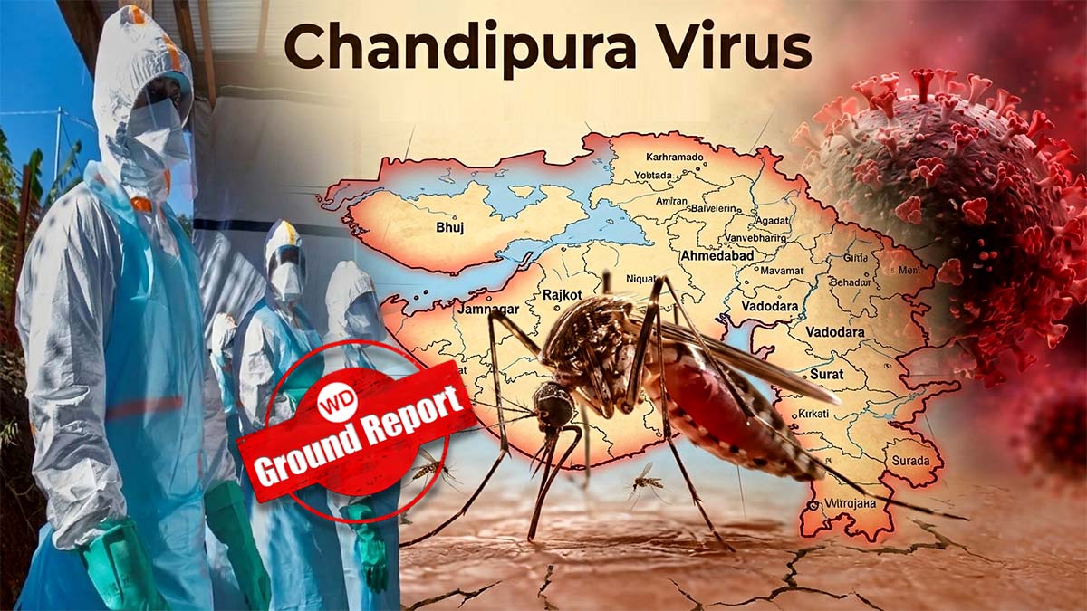 गुजरात में चांदीपुरा वायरस का कहर : 184 संदिग्ध ...