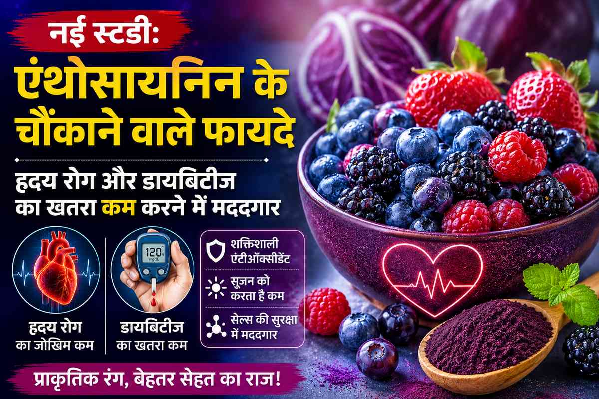 Health American blueberries