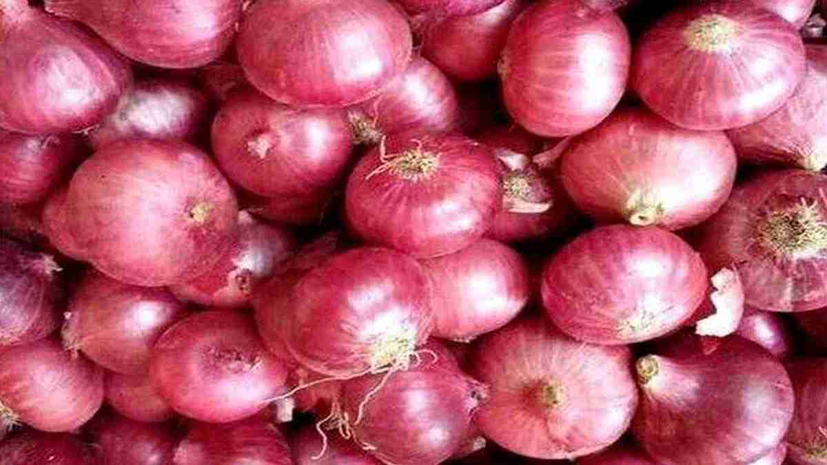 onion price increasing in india