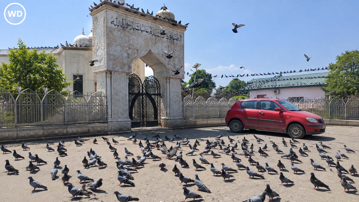दरगाहों-मस्जिदों में पक्षियों को दाना डालने पर ...