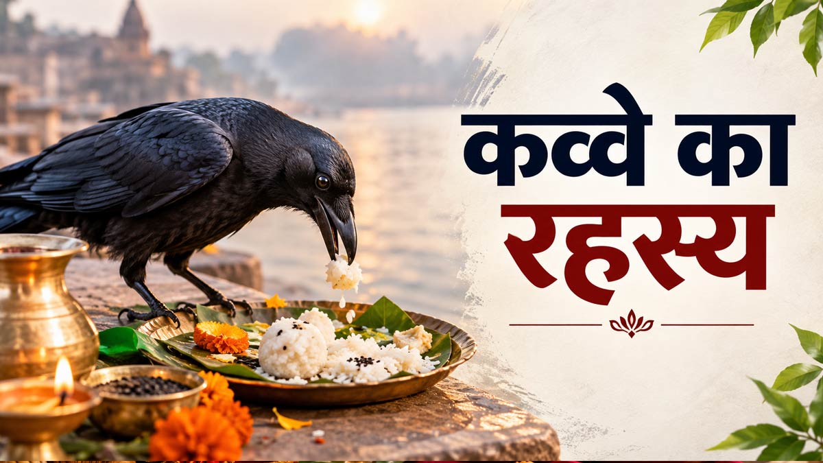 पितृ पक्ष 2026: श्राद्ध का भोजन कौवा न खाए तो क्या होता है? क्या सच में कौवे...