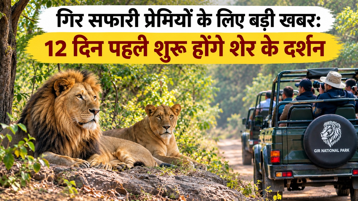 Sasan gir News
