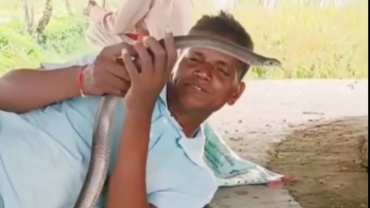 नागिन से खिलवाड़ पड़ा भारी! डसने से दिव्यांग की ...