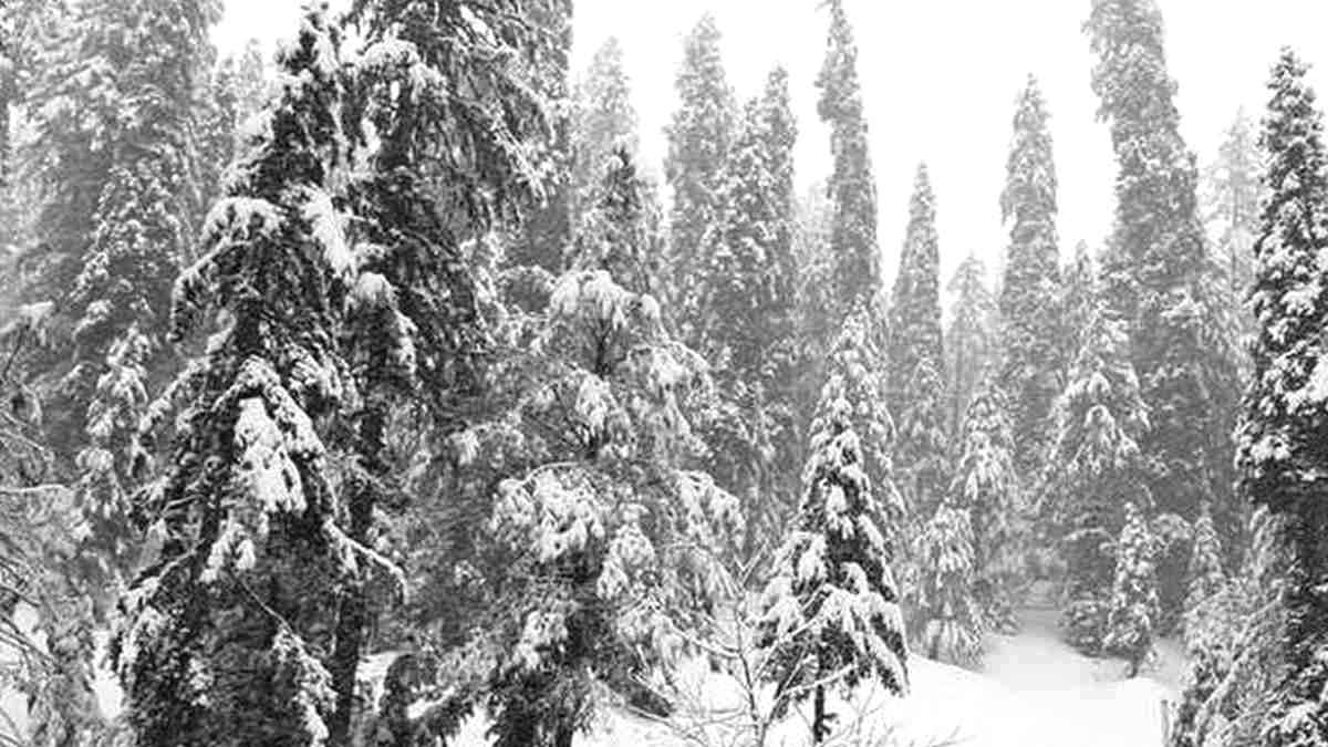 snowfall on mountains