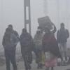 Weather Update : सर्दी को लेकर IMD का बड़ा अपडेट, कितने दिन रहेगी शीतलहर