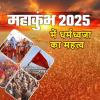 महाकुंभ में क्या है धर्मध्वजा का महत्व, जानिए किस अखाड़े की कौन सी है पताका