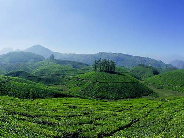 munnar