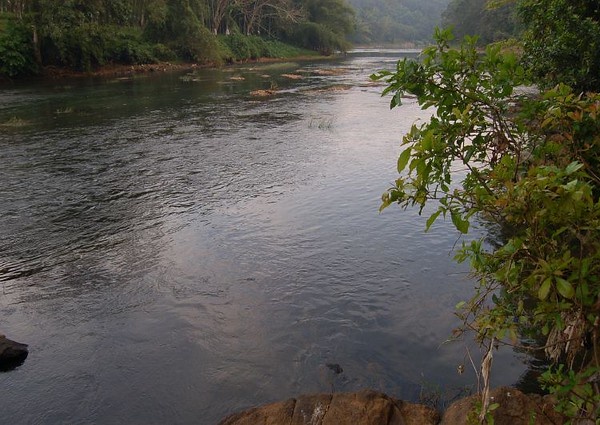 Manimala River