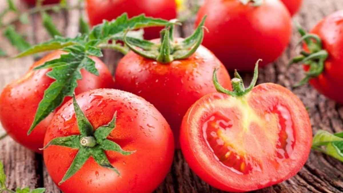 tomato