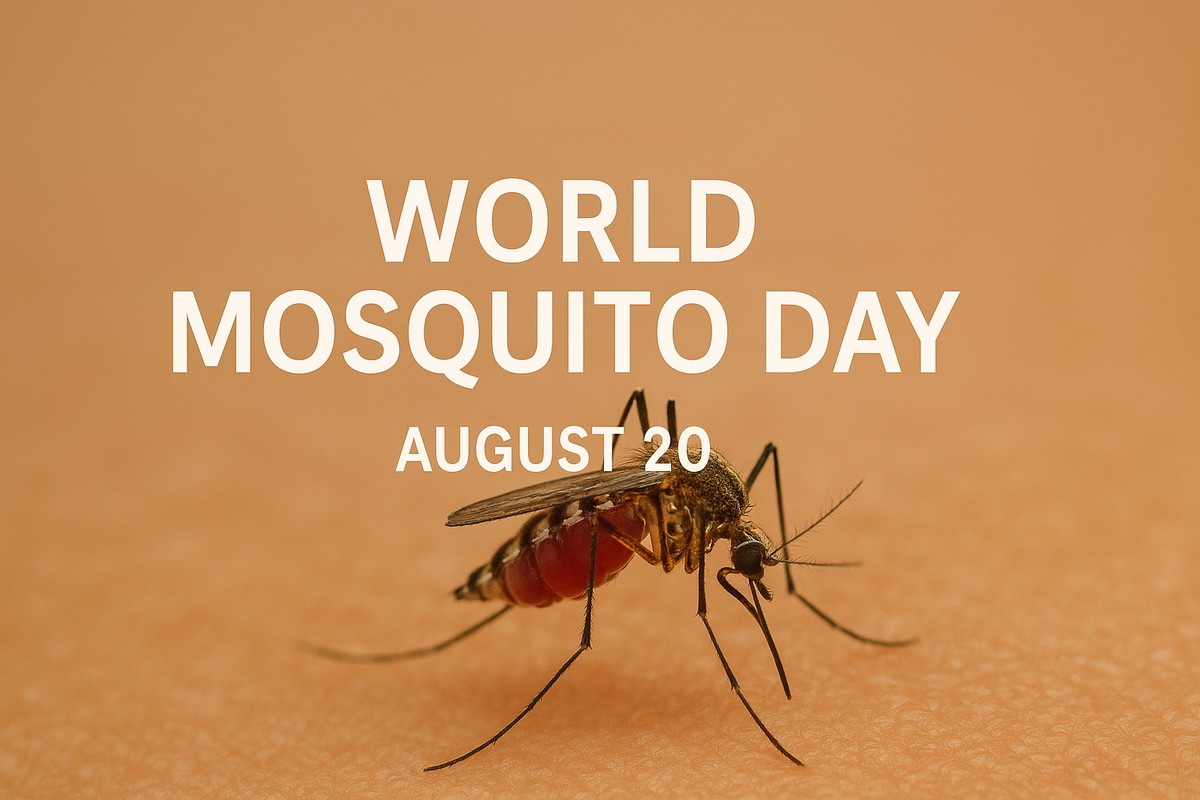 World Mosquito Day, Mosquito related diseases, Maleria Invention, World,ലോക കൊതുക് ദിനം, കൊതുക് പരത്തുന്ന രോഗങ്ങൾ, മലേറിയ