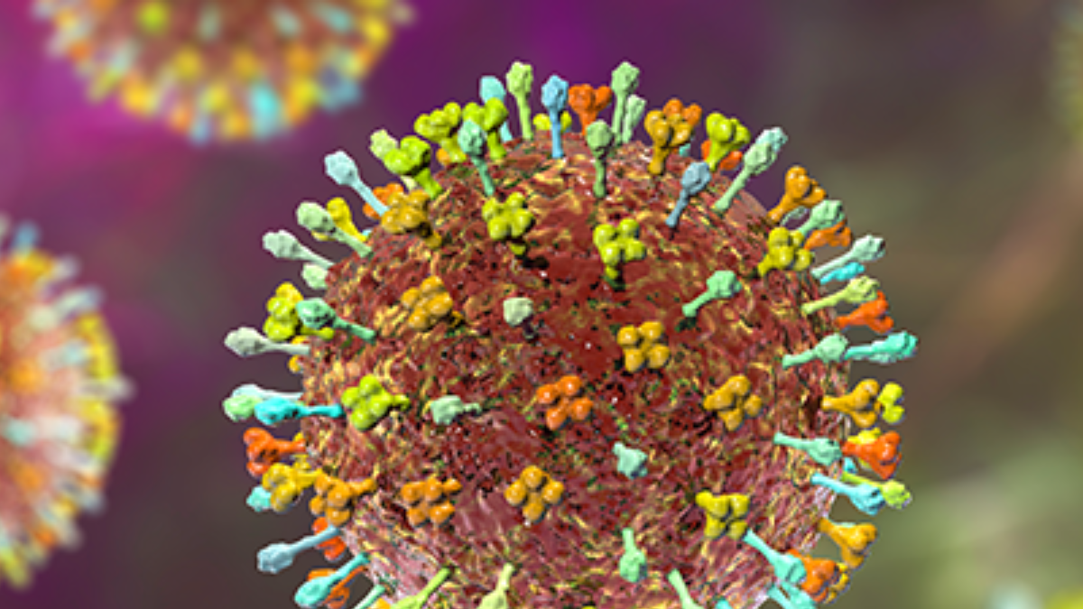 Nipah Virus