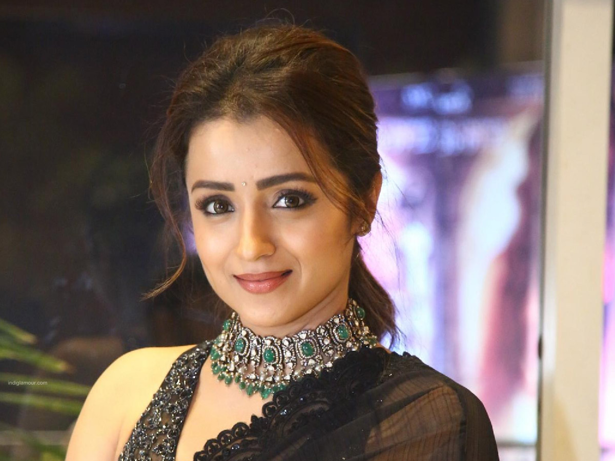 Trisha Krishnan, actress trisha, thalapathy vijay, vijay, തൃഷ കൃഷ്ണൻ, നടി തൃഷ, ദളപതി വിജയ്, വിജയ്