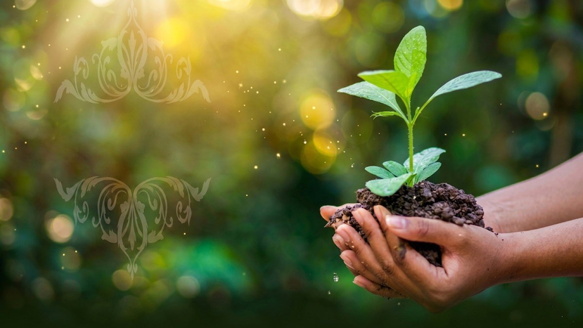 World Environment Day : പച്ചപ്പിലേക്ക് മടങ്ങാം, ...