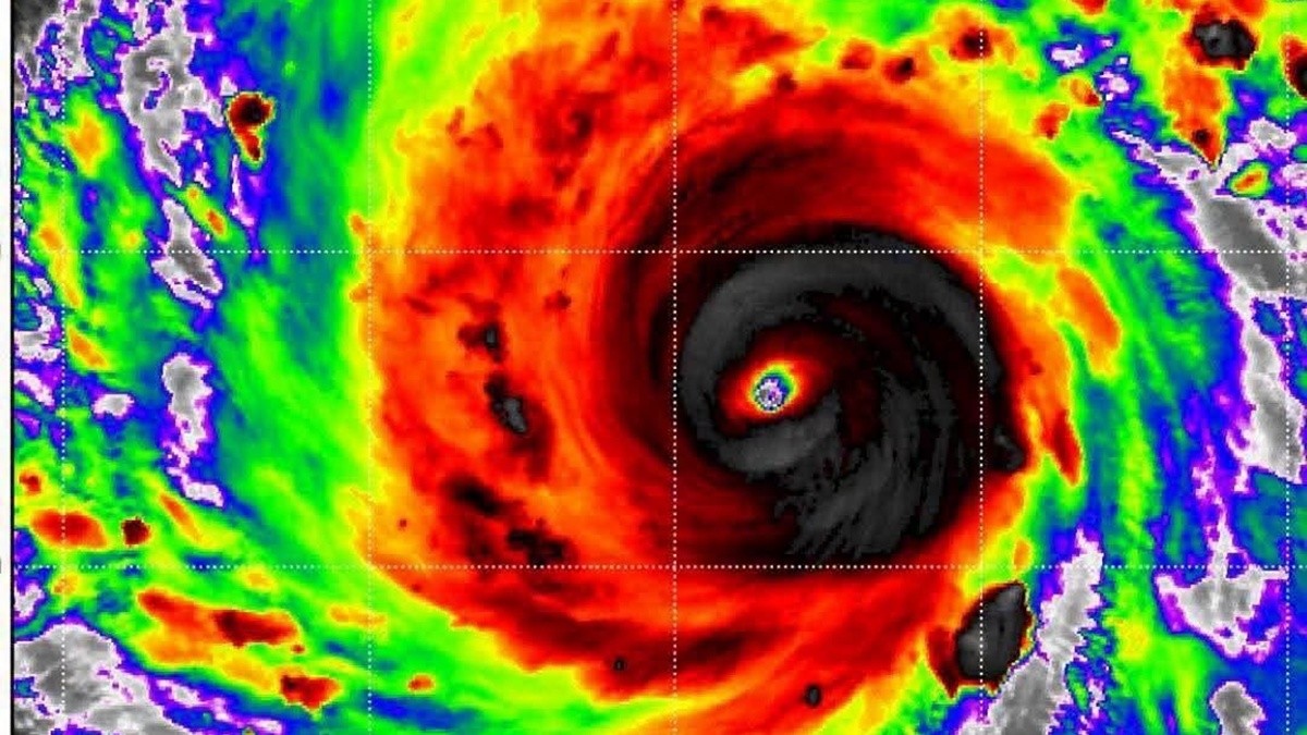 Typhoon Dolphin: കണ്ടതൊന്നുമല്ല വരാനിരിക്കുന്നത് ...
