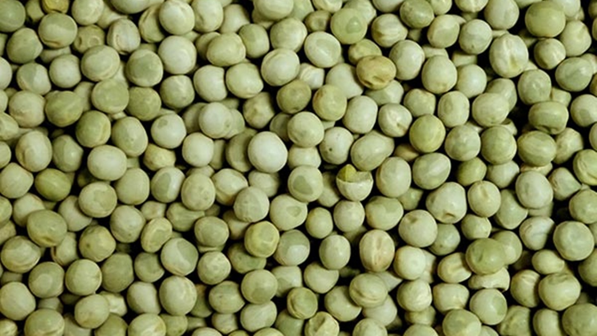 പച്ചപ്പട്ടാണി അഥവാ ഗ്രീൻ പീസ്; ആരോഗ്യ ഗുണങ്ങൾ ...