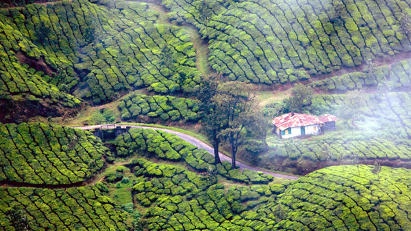 munnar