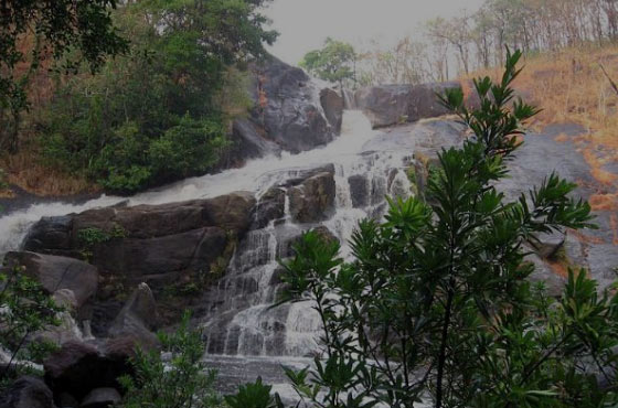 Monsoon Travel: વરસાદી પ્રવાસનું આયોજન કરી રહ્યા ...