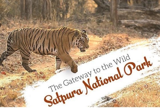 satpuda national park