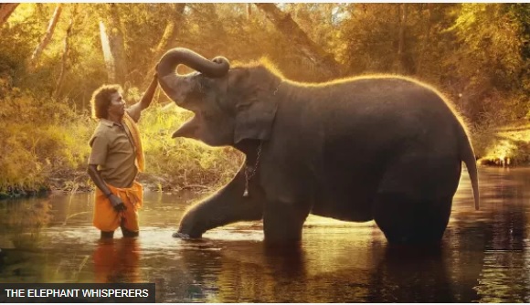 Elephant Whisperers