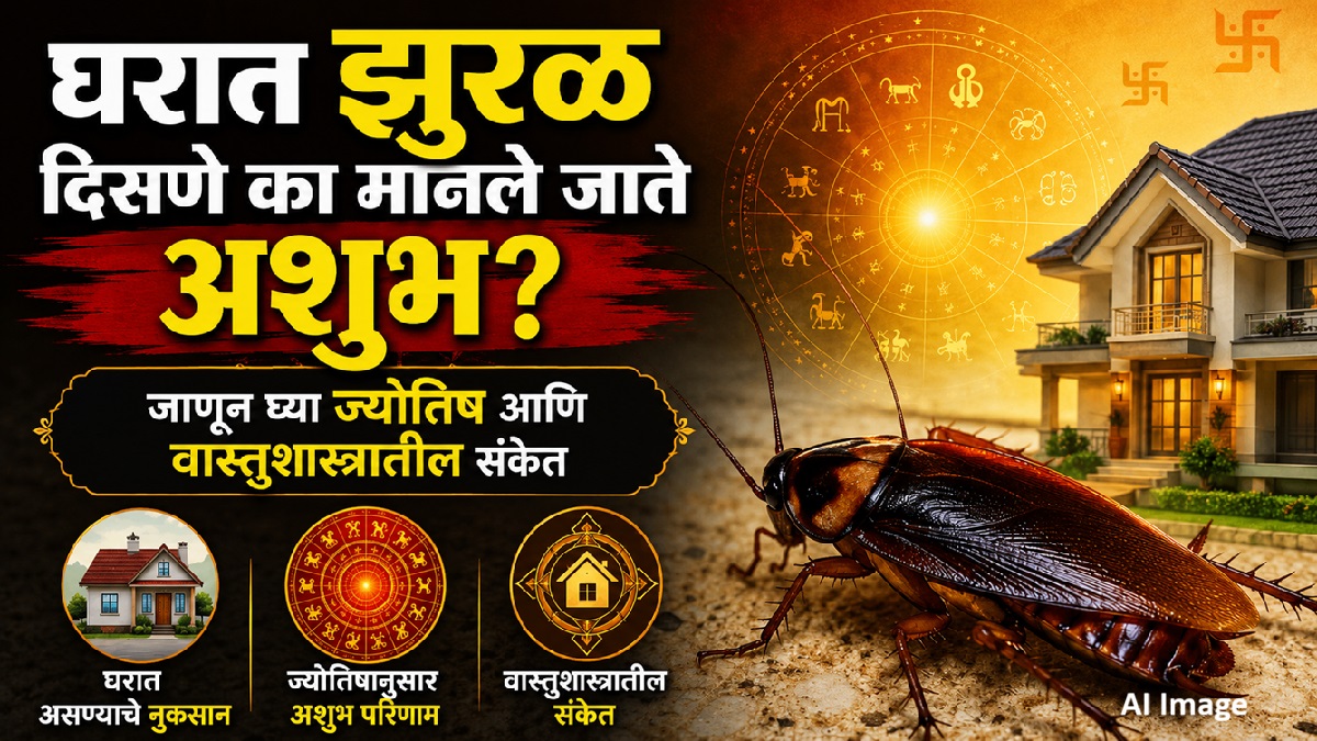 घरात झुरळ दिसणे अशुभ का मानले जाते? ज्योतिष आणि ...