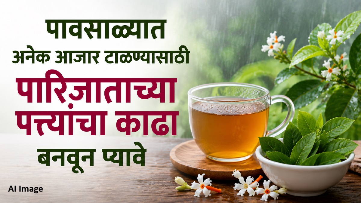 पावसाळ्यात आजारांपासून दूर राहायचंय? पारिजातकाच्या पानांचा काढा पिण्याचे...