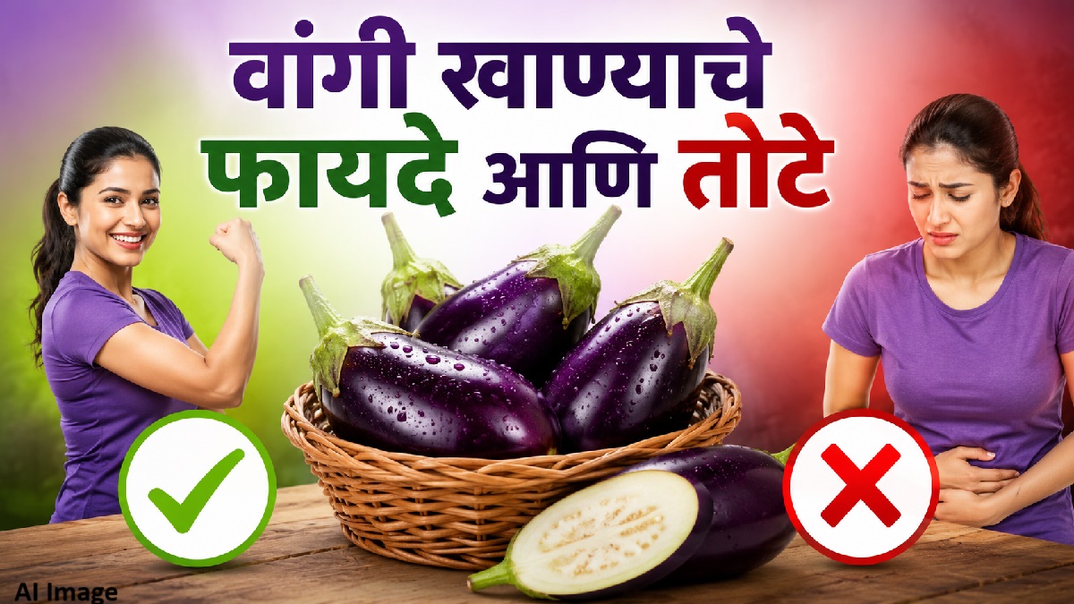 वांगी खाण्याचे फायदे आणि तोटे जाणून घ्या; ‘या’ लोकांनी वांगी खाताना घ्या...