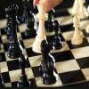 Chess : कार्लसन विजेता, विश्वनाथन आनंद तिसऱ्या स्थानावर