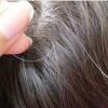 Premature Graying Hair मुलांचे केस आतपासूनच पांढरे होऊ लागले आहेत का? त्यांना हे 5 पदार्थ खाऊ द्या, केस नैसर्गिकरीत्या काळे होतील